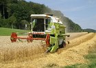 Claas Drescher 65